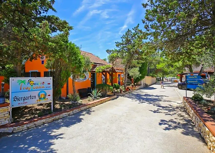 Amazing In With Wifi *